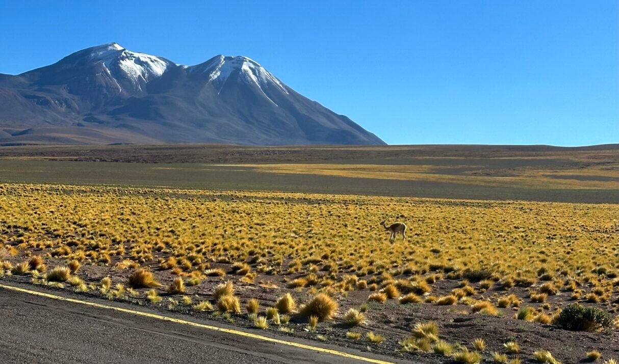 Itinéraire de 4 jours pour découvrir le désert d&rsquo;Atacama au Chili